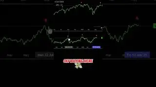 Why Stock Picking Might Beat The Index In 2025!