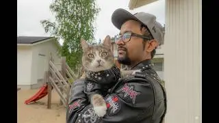 My Cat's WILD Treat Time Anthem (Funny Pet Music Video)