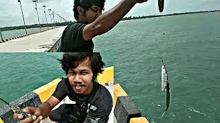 Mancing Di Pinggiran Pakai Pelampung Mancing Ikan Julung-Julung