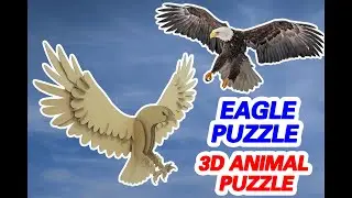 A vivid 3D wall-mounted Eagle puzzle
