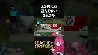 ネコ様に逆らえないまんさや#lol #まんさや #leagueoflegends