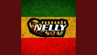 Melo De Catinga Vs Reggae Funk Nelly Som 2026