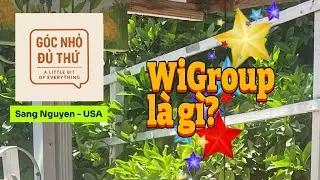 C&acirc;u hỏi: WiGroup l&agrave; g&igrave;?