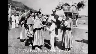 Funchal&rsquo;s Industry Through Old Photos by Vitor Paulo Freitas | Madeira-Web