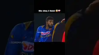 වනියට මල පැනලා 🤣😁 #cricketfinal #trend #zoromax #cricket