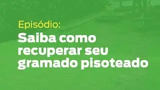 Como recuperar gramado pisoteado?