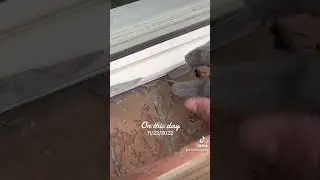 Step by step how to re-seal (re-caulk) your windows