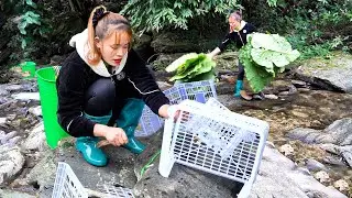 Amazing Fish Traps Using PVC Pipes | Big Fish Harvest & Orange Market Day With My Daughter