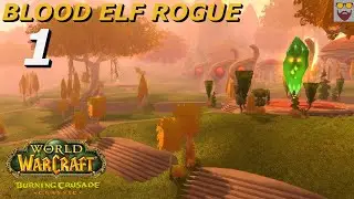 Let's Play WoW - TBC CLASSIC - Blood Elf Rogue Leveling - Part 1: Survivors - Beta Gameplay