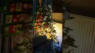 Christmas  tree  by little French  #music  cute  tree  in New York 🎄🇺🇸