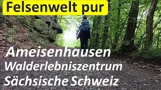 S&auml;chs. Schweiz Leupoldishain Walderlebniszentrum Nikolsdorfer W&auml;nde B&auml;rsgrund