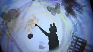 An Analog Wonderland Projection