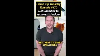 Dehumidifier to Remove Odour