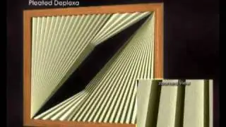 Pleated Deplexa Window Blind
