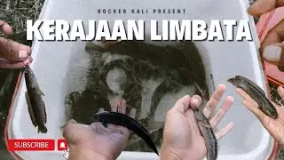 Casting Limbata di bendungan kayangan