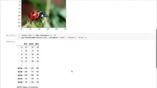 CS 320 May 1 (Part 1) - K-Means for Color Segmentation