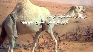 حفل الشيخ تركي بن خالد بن حميد بمناسبة زواج ابنه خالد