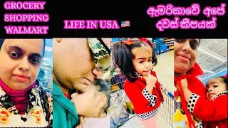 අපිත් එක්ක ඇමරිකාවේ දවස් කීපයක්| Grocery shopping 🛒 | American Village Simple Family | Life in USA🇺🇸