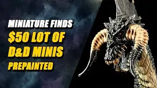 One Of My Luckiest Prepainted Finds Ever! (D&D Miniatures)