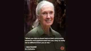 Episode 87 - Jane Goodall