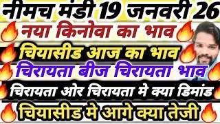 नीमच मंडी भाव। चिया भाव। नया किनोवा का भाव। चिरायता का भाव। Neemuch Mandi bhav today chirayata
