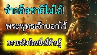 The Reason We &ldquo;Can&rsquo;t Remember Past Lives&rdquo; | One Truth That Buddha Forbids Knowing | LISTEN DEE
