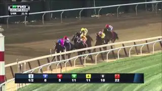 RACE REPLAY: 2015 Gallant Bloom Stakes