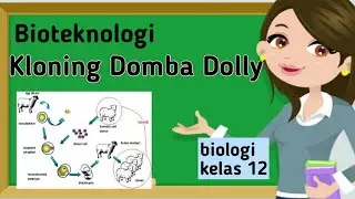Materi Biologi Kloning Domba Dolly | Kelas 12