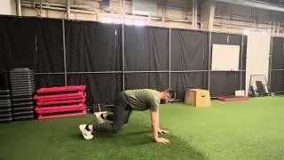 Bear Plank w/ Shoulder Tap