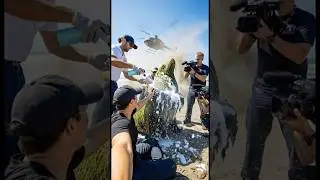 pov rescue a sea lion stuck in tire