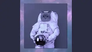 cosmic cats only