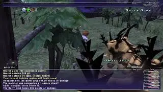 Final Fantasy XI #256, Rolanberry Fields and Yhoator Jungle: To Beastmaster Level 45