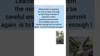 #LightandMight/ How to be Wise enough ?
