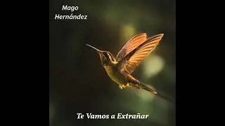 Te vamos a extra&ntilde;ar 😢 Mago Hern&aacute;ndez (Audio Producci&oacute;n 2023)