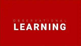 Observational Learning Examples in Advertising / Consumer Behavior