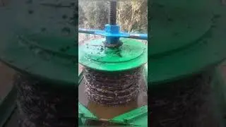 Mini almazara ,extracción de acebuche y arbequina.