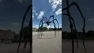 Ottawa in 30 seconds #ottawa #parliamenthill #ottawablogger #film #ottawalife #downtownottawa