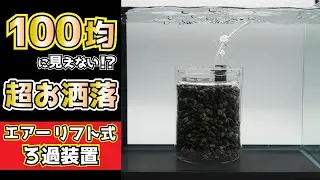 100均で高級に見えるエアーリフト式ろ過装置を作ってみたら、びっくりするくらい映えました。