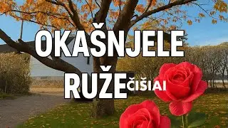 ČIŠIAI - Okašnjele ruže