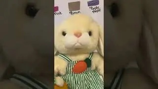 Second lesson of English for kids!!