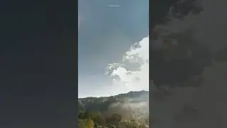 oamo