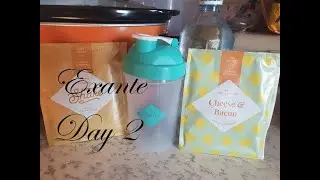 Day 1|Exante replacement meals plan