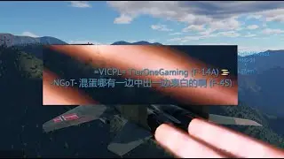 least racist war thunder player