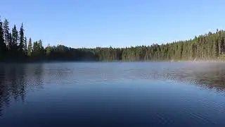 1 Hour of Tranquil Lake View | Birds Chirping & Forest Sounds for Deep Relaxation