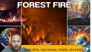 @SYPGENERATION Fire in Similipal #odia #forestfire #odisha #nationalpark #wildlife #information
