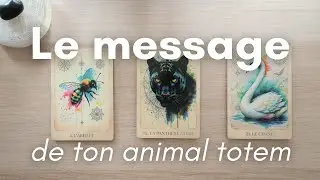 INTEMPOREL 💌 Message de ton animal totem 🐝 3 CHOIX