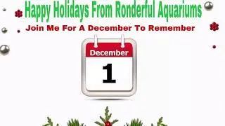 Ronderful Aquariums December2Remember Dec 1st Top Fin Essentials All In One 10 Gal Aquarium Unboxing