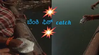 🐬Food used fishing🐬ಬಾಟಲಿ ಹಾಗೂ ಹಿಟ್ಟು ಬಳಸಿ ಮೀನು ಹಿಡಿಯೋದು🐬