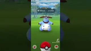 Me Vs. my Wife: Who gets a Shiny Miltank? ✨ #pokemongo