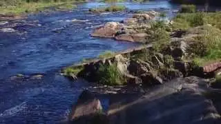 Heimo Saksio: Joki